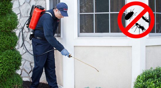 Kuluncak Dezenfeksiyon böcek ilaçlama ve haşere kontrolü — ilaclama-tr.com